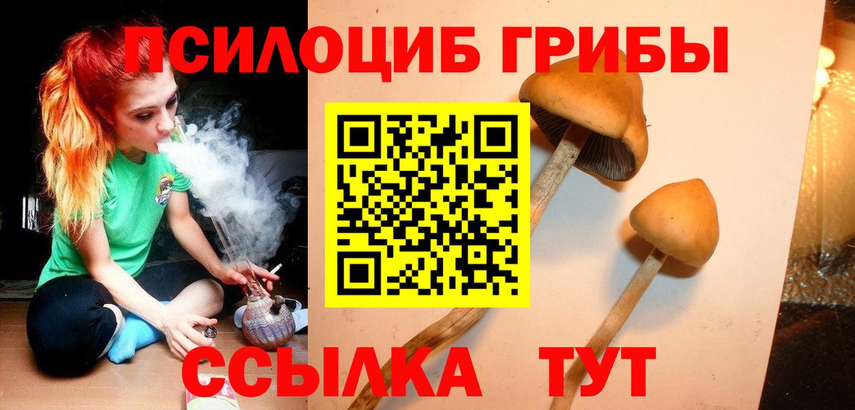 Псилоцибиновые грибы Cubensis  Вход с VPN  Луховицы 